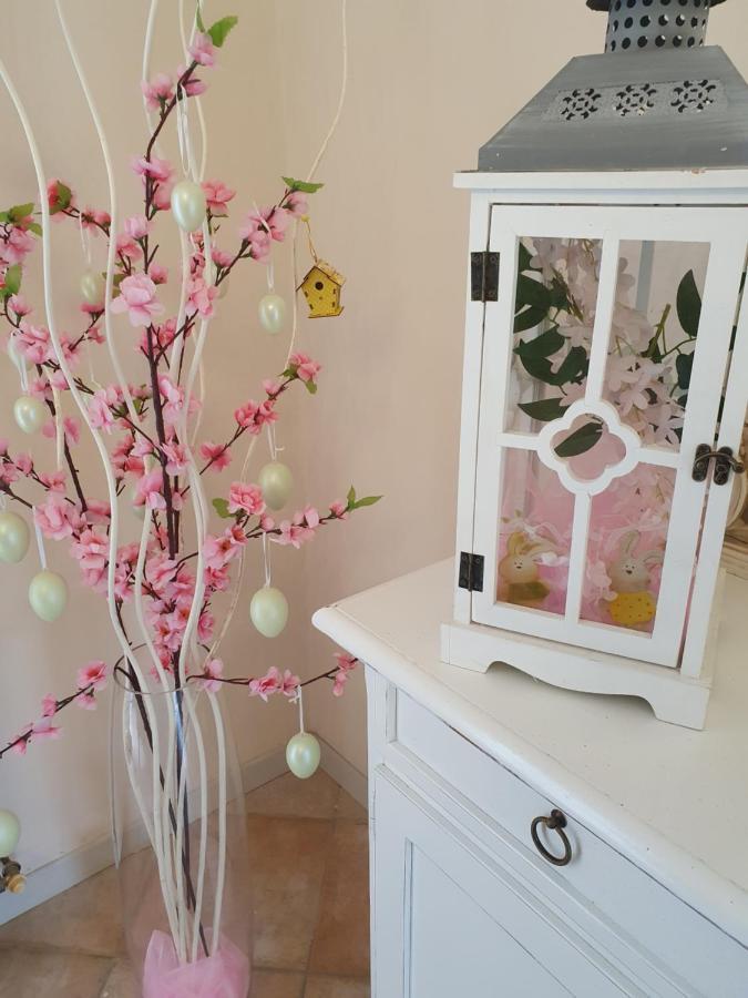 B&B Villa Maria 테르니 외부 사진