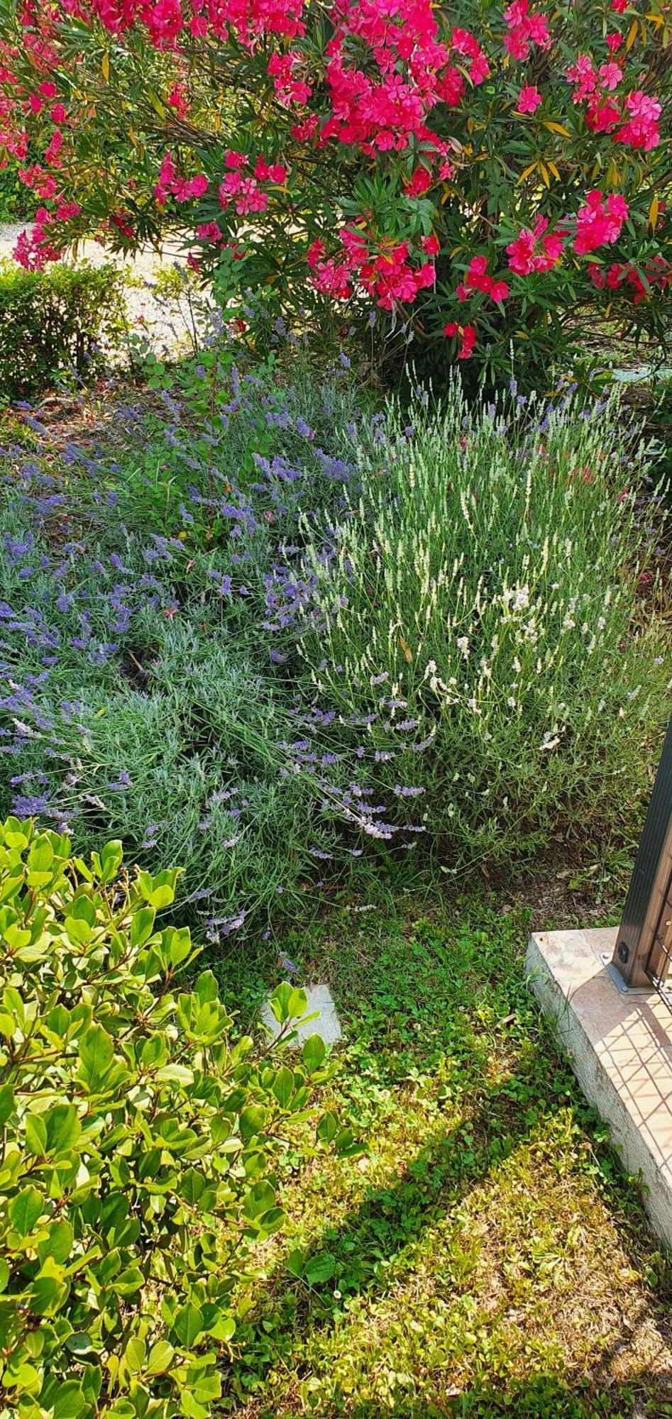 B&B Villa Maria 테르니 외부 사진